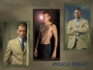 Prison Break Wallpapers n2 